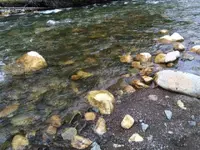 rock.webp