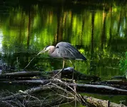 064.webp