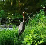 047.webp