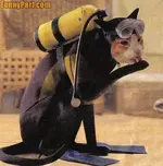 FunnyPart-com-scuba_diving_cat.webp