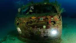 scuba-pic6.webp