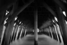 Under Myrtle Beach State Park Pier .webp