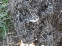 100_3495.webp