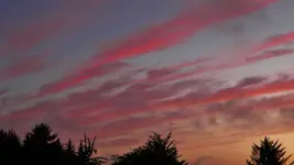DSCN8782.webp