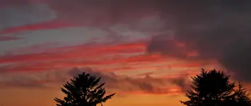DSCN8785.webp