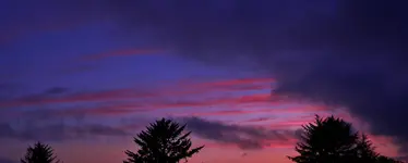 DSCN8790.webp