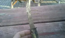 1433634200934.webp