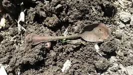 20150604_141903_resized.webp