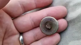 button.webp