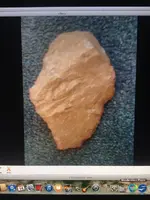 ImageUploadedByTreasureNet.com1437686056.940565.webp