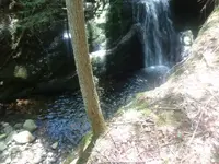 maurice gorge 001 (640x480).webp