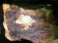 photo 1 (15) copy.webp