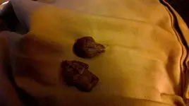 2015-06-22 (2).webp