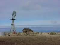 Cow camp 2.webp
