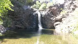 1435020721587.webp