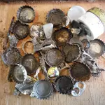 DSCF3496.webp