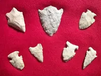 Florida Artifacts (2).webp