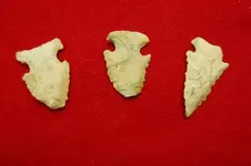 Florida Artifacts (15).webp