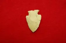 Florida Artifacts (17).webp
