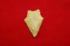 Florida Artifacts (19).webp