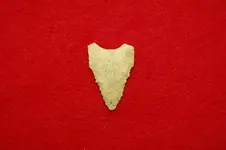 Florida Artifacts (21).webp