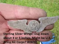 Median Strip Finds 6-6-15 001.webp
