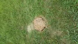 20150531_094301.webp