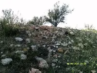 DSCF0055.webp