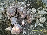 DSCF0060.webp