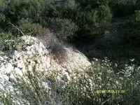 DSCF0064.webp
