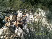 DSCF0065.webp