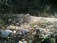 DSCF0068.webp