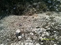 DSCF0070.webp