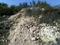 DSCF0071.webp