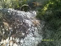 DSCF0073.webp