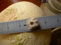 rock scale (1).webp