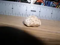 rock scale (3).webp