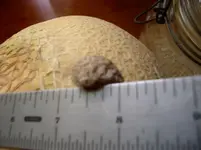rock scale (5).webp