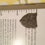 ImageUploadedByTreasureNet.com1437705014.006070.webp