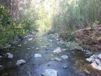1437705918253.webp
