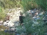 1437706013681.webp