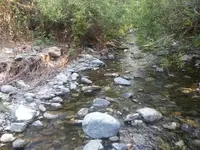 1437706039908.webp