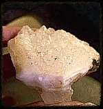 ImageUploadedByTreasureNet.com1437706549.512320.webp