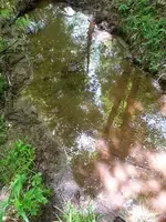 20140530_115853.webp