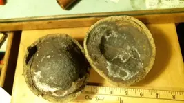 dinosaur egg 1.webp
