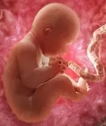 36wkbaby_custom-79a2166d010a668c890c4dd0ccdf0f9df343f868-s300-c85.webp
