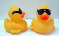 ImageUploadedByTreasureNet.com1433116964.766681.webp