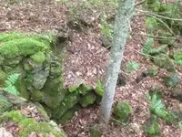 ImageUploadedByTreasureNet.com1436528619.810256.webp