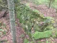 ImageUploadedByTreasureNet.com1436528643.258754.webp