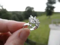 leafring2.webp